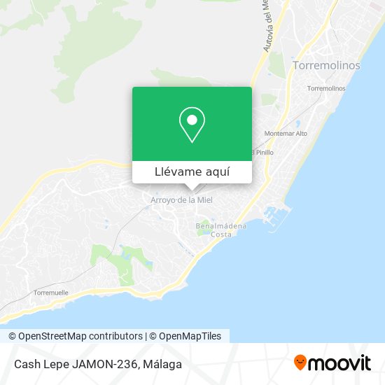 Mapa Cash Lepe JAMON-236