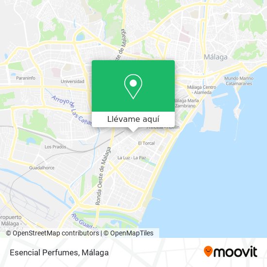 Mapa Esencial Perfumes