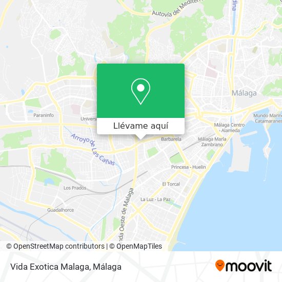 Mapa Vida Exotica Malaga