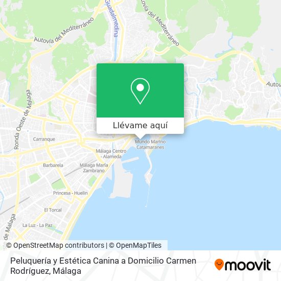 Mapa Peluquería y Estética Canina a Domicilio Carmen Rodríguez
