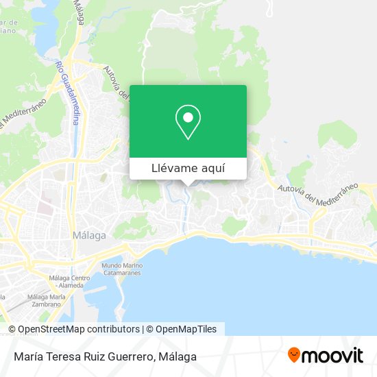 Mapa María Teresa Ruiz Guerrero
