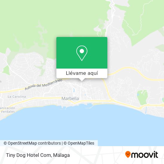 Mapa Tiny Dog Hotel Com