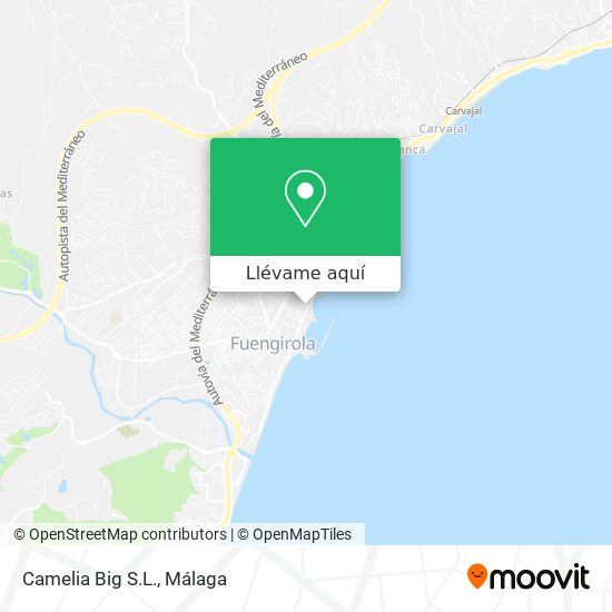 Mapa Camelia Big S.L.
