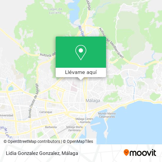 Mapa Lidia Gonzalez Gonzalez