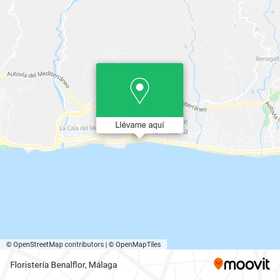 Mapa Floristería Benalflor
