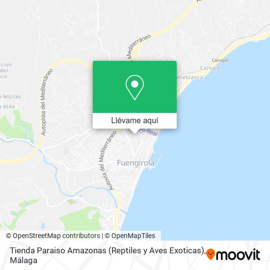Mapa Tienda Paraiso Amazonas (Reptiles y Aves Exoticas)
