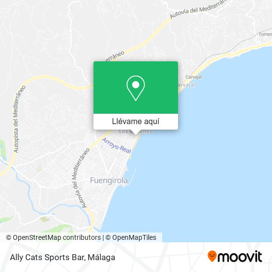 Mapa Ally Cats Sports Bar