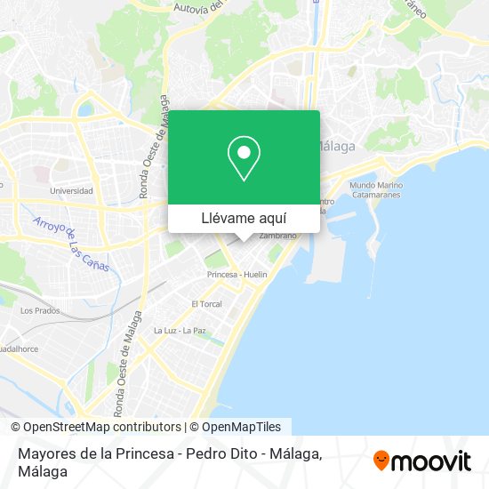Mapa Mayores de la Princesa - Pedro Dito - Málaga