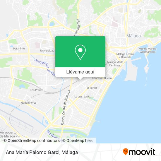 Mapa Ana María Palomo Garci