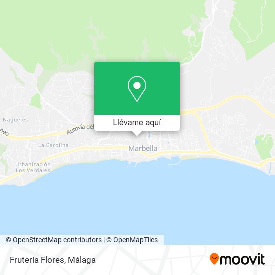 Mapa Frutería Flores
