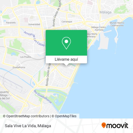 Mapa Sala Vive La Vida