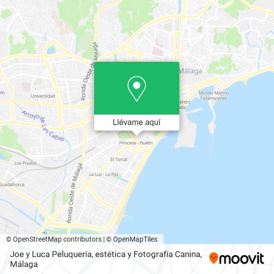 Mapa Joe y Luca Peluquería, estética y Fotografía Canina