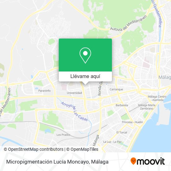 Mapa Micropigmentación Lucía Moncayo
