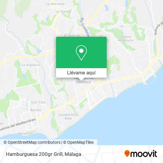 Mapa Hamburguesa 200gr Grill