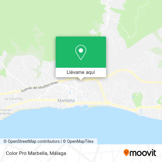 Mapa Color Pro Marbella