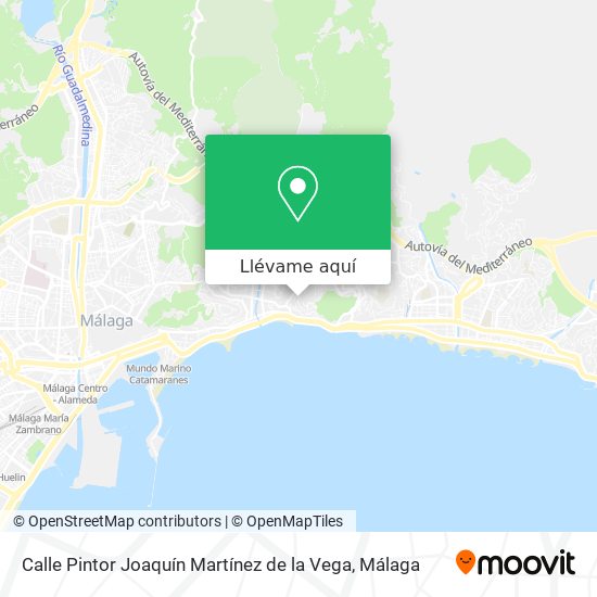 Mapa Calle Pintor Joaquín Martínez de la Vega