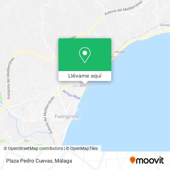 Mapa Plaza Pedro Cuevas