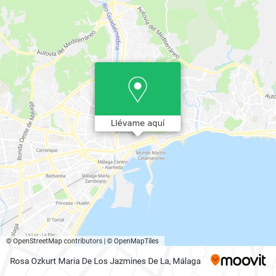 Mapa Rosa Ozkurt Maria De Los Jazmines De La