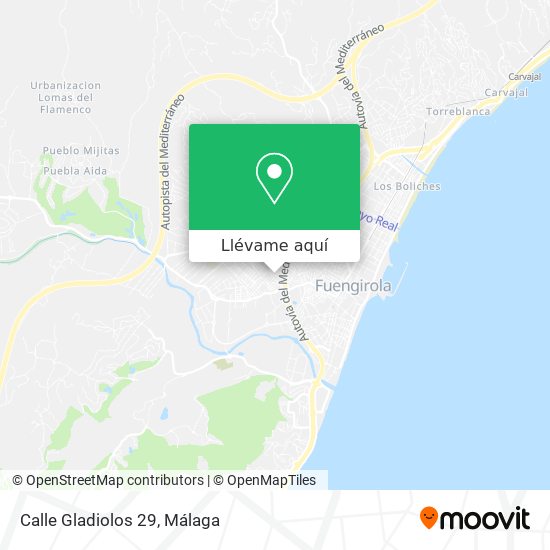 Mapa Calle Gladiolos 29