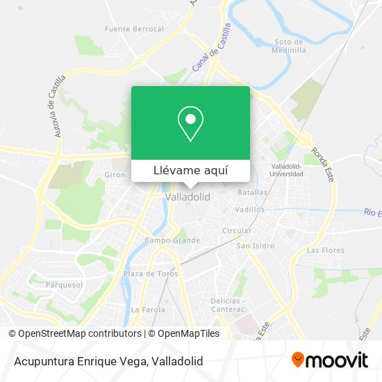Mapa Acupuntura Enrique Vega