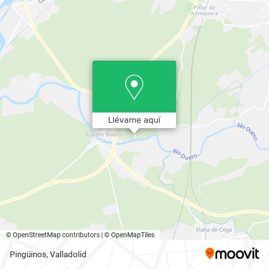 Mapa Pingüinos