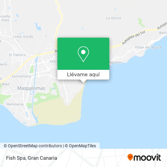 Mapa Fish Spa