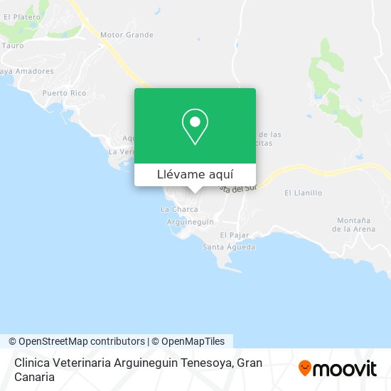 Mapa Clinica Veterinaria Arguineguin Tenesoya