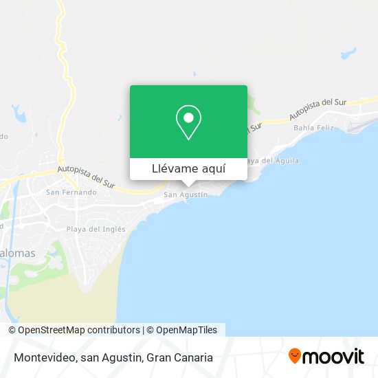 Mapa Montevideo, san Agustin