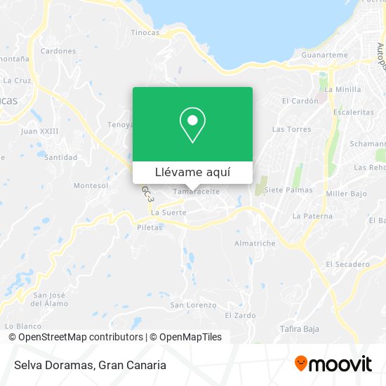 Mapa Selva Doramas