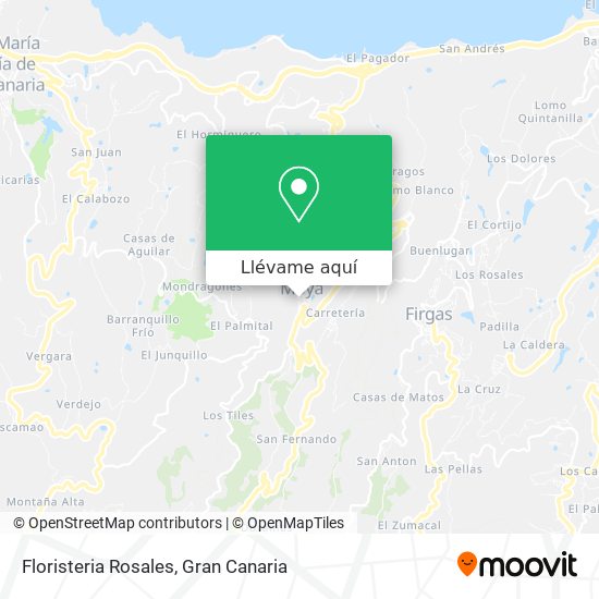 Mapa Floristeria Rosales