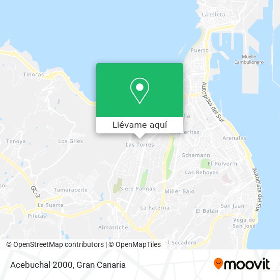Mapa Acebuchal 2000