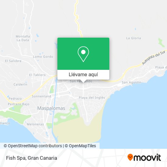 Mapa Fish Spa
