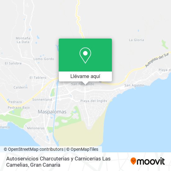 Mapa Autoservicios Charcuterias y Carnicerías Las Camelias