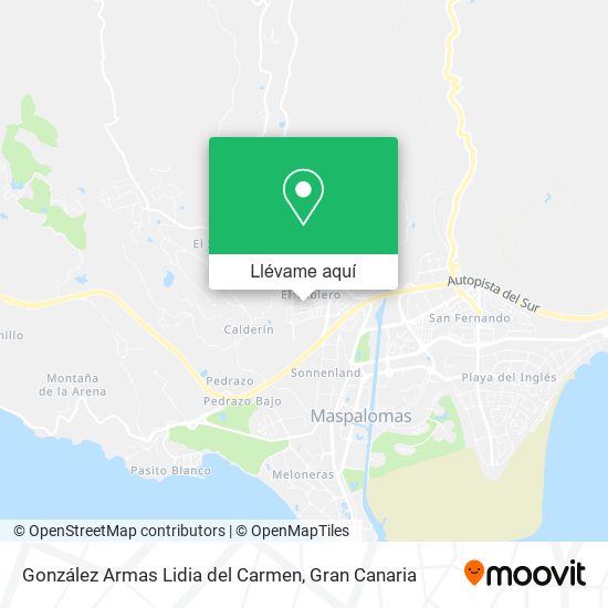 Mapa González Armas Lidia del Carmen