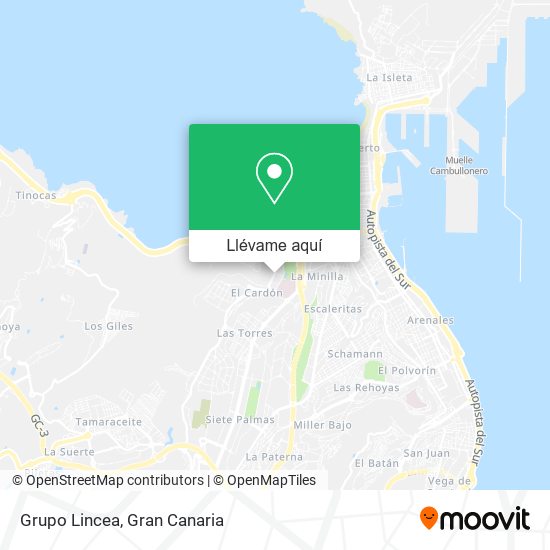 Mapa Grupo Lincea