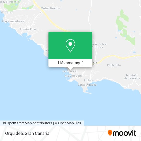 Mapa Orquídea