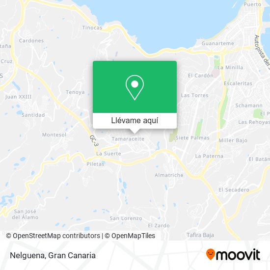 Mapa Nelguena