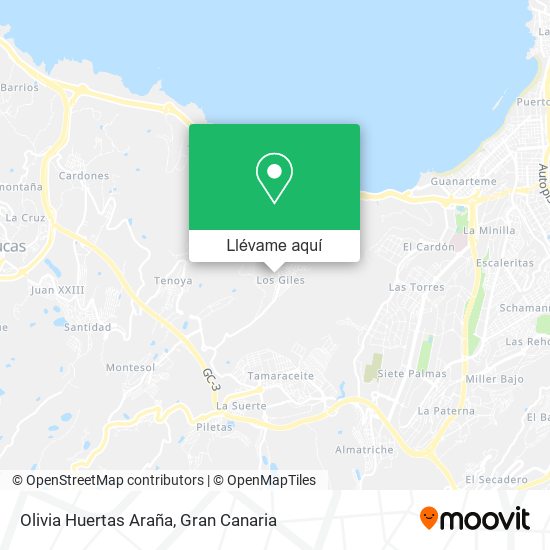 Mapa Olivia Huertas Araña