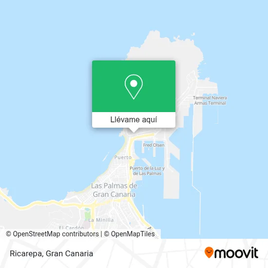 Mapa Ricarepa