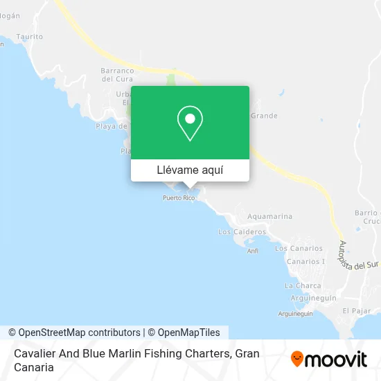 Mapa Cavalier And Blue Marlin Fishing Charters