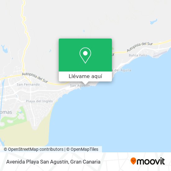 Mapa Avenida Playa San Agustín
