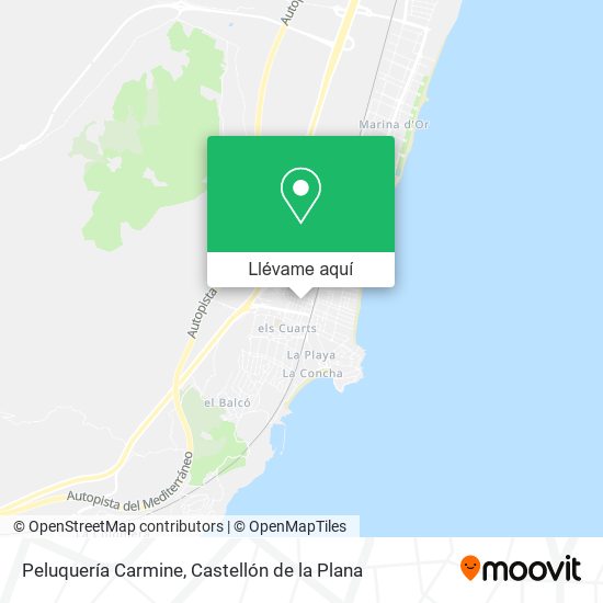 Mapa Peluquería Carmine
