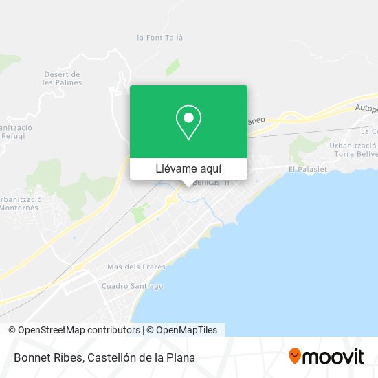 Mapa Bonnet Ribes