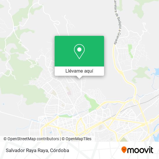 Mapa Salvador Raya Raya