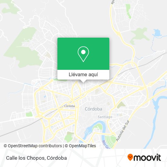 Mapa Calle los Chopos