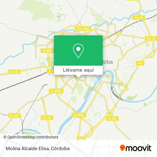 Mapa Molina Alcaide Elisa