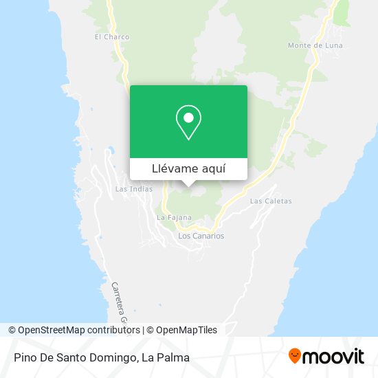 Mapa Pino De Santo Domingo