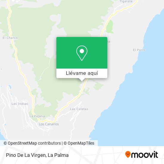 Mapa Pino De La Virgen