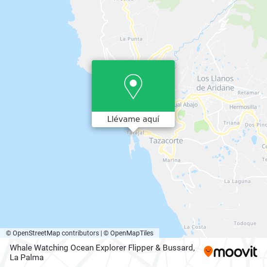 Mapa Whale Watching Ocean Explorer Flipper & Bussard