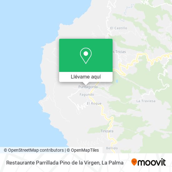 Mapa Restaurante Parrillada Pino de la Virgen